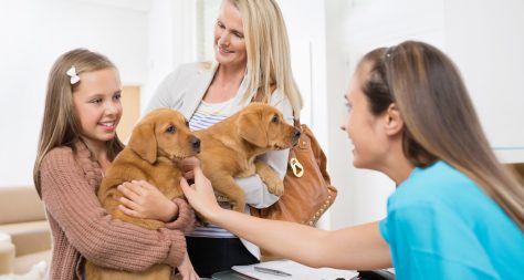 veterinary receptionist with a young girl and two cute puppies.
