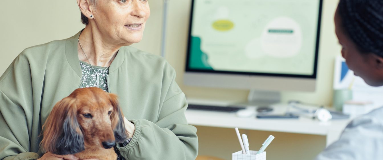 Client with dog talking to vet