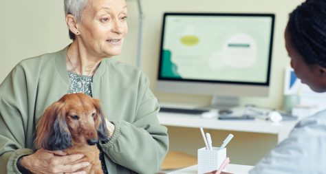Client with dog talking to vet