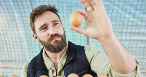 Man examining an egg