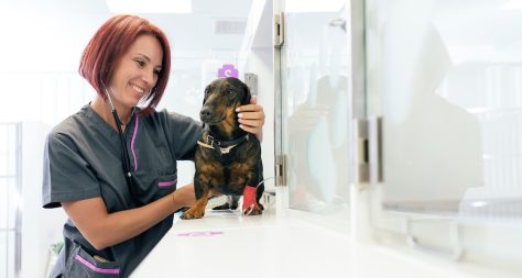 Veterinarian nurse hugging a beautiful small dog in front of kennels.
