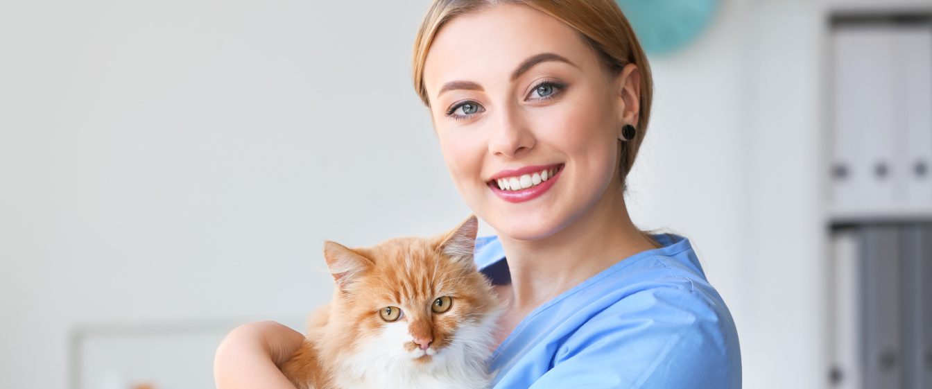 Female veterinary nursing asistant with cute cat in clinic