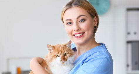 Female veterinary nursing asistant with cute cat in clinic